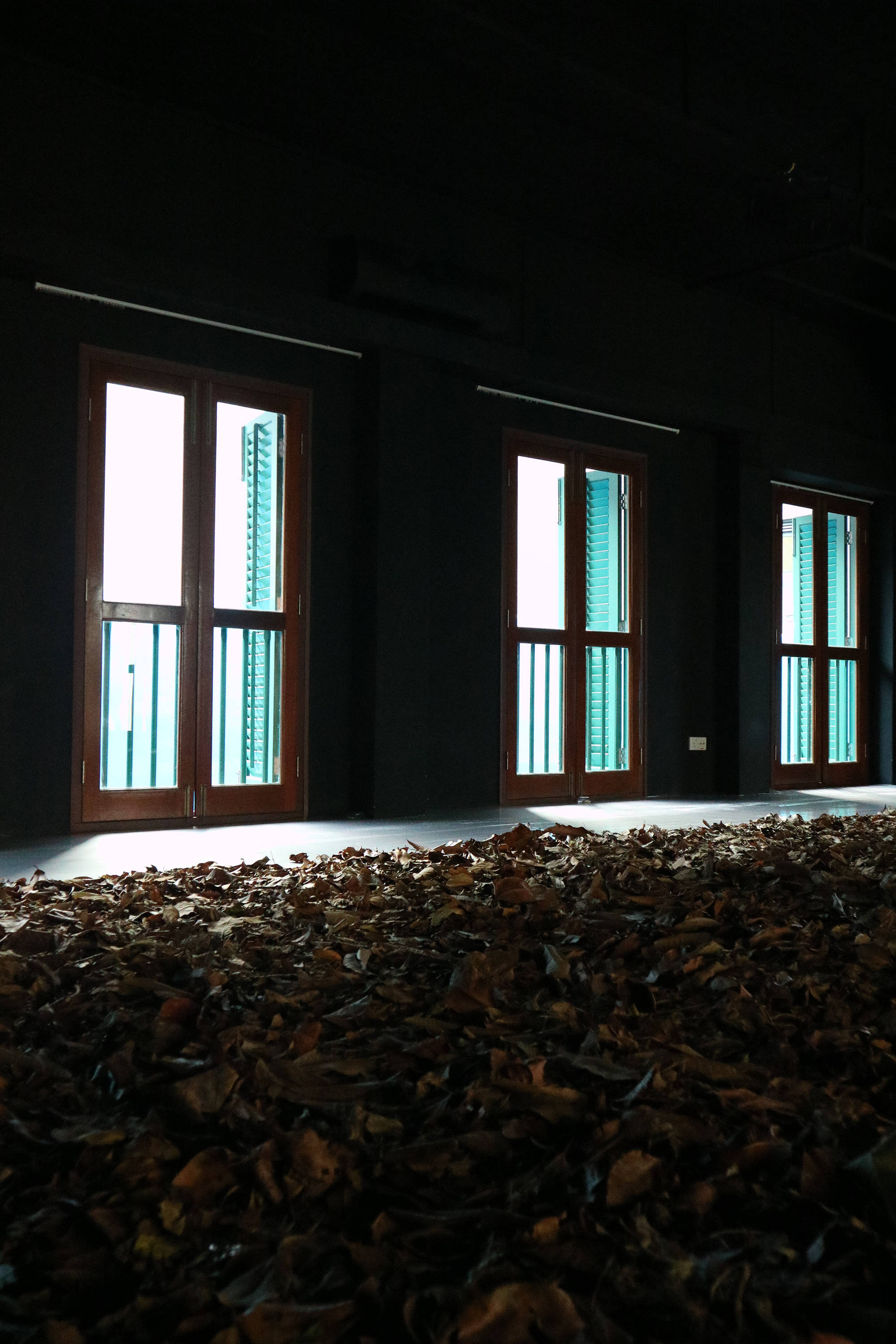 An image of the Black Box, lit only by the sunlight streaming through the windows. The silhouette of a large pile of dried leaves can be seen.