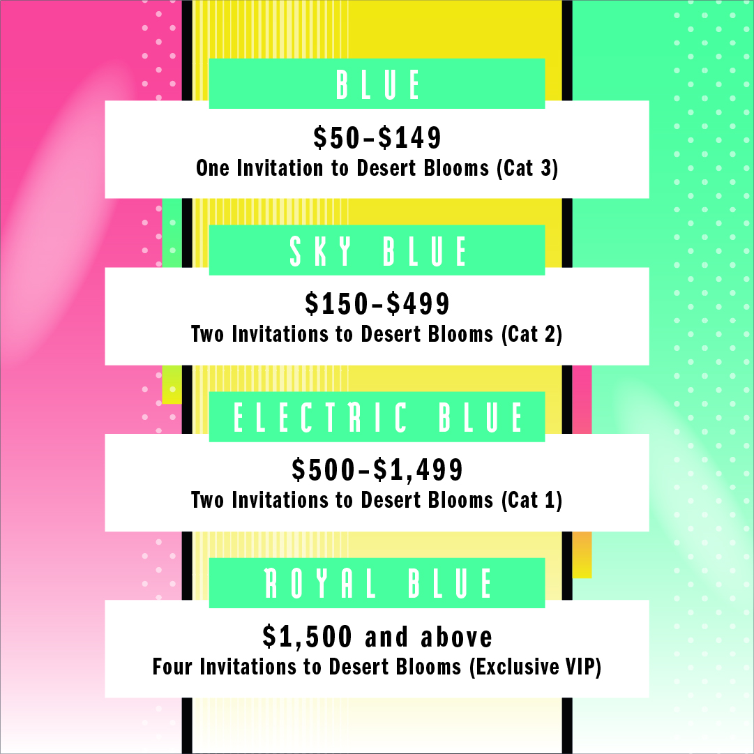 Picture of donation tiers and corresponding number of invites.