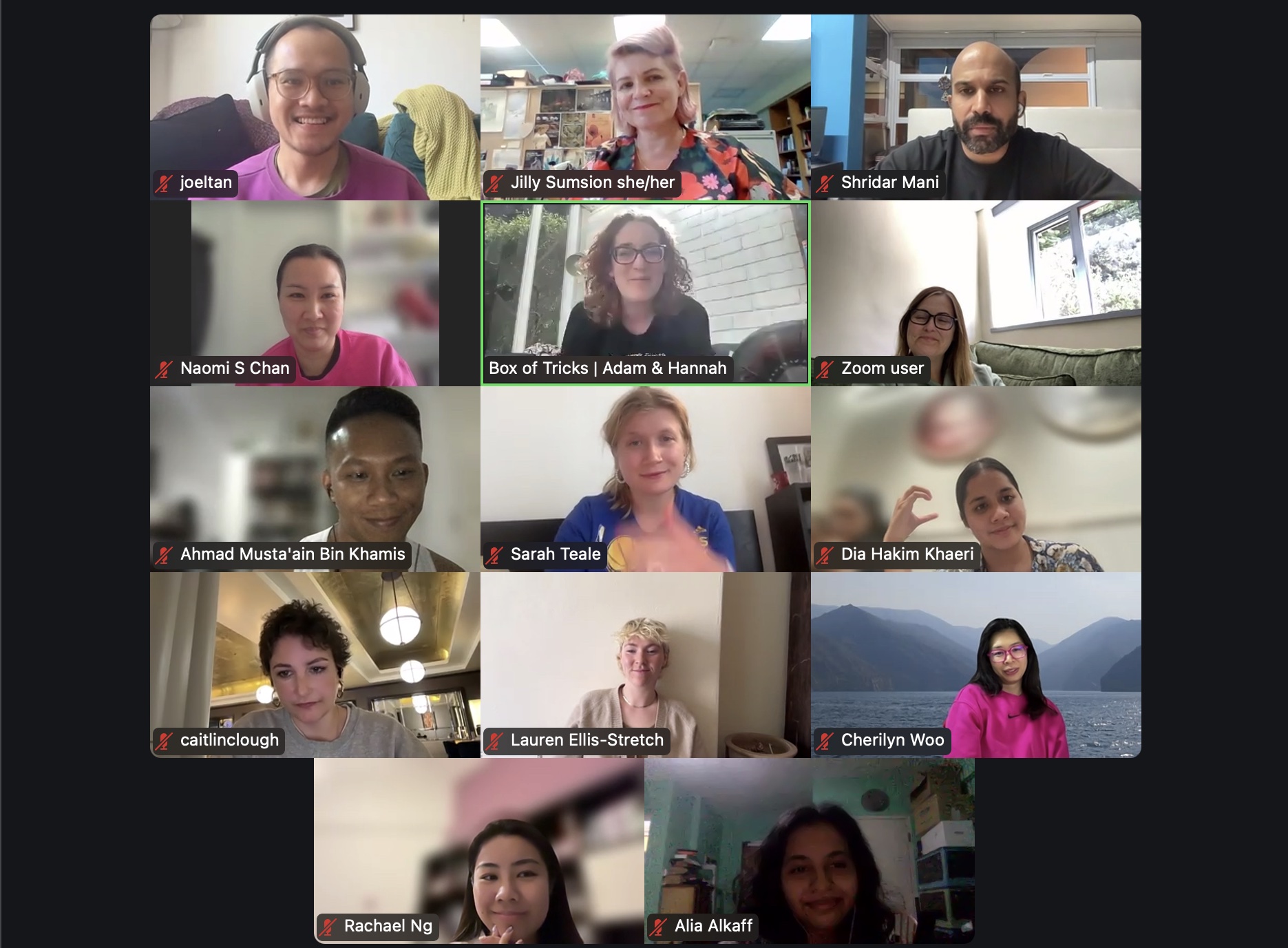 A screenshot of a Zoom recording featuring fourteen persons.