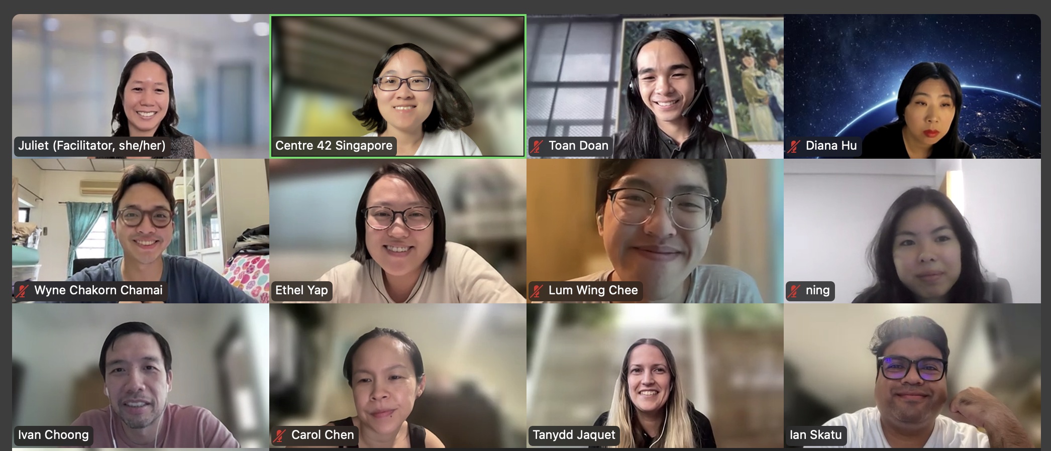 Zoom meeting involving 12 participants, smiling into the camera.
