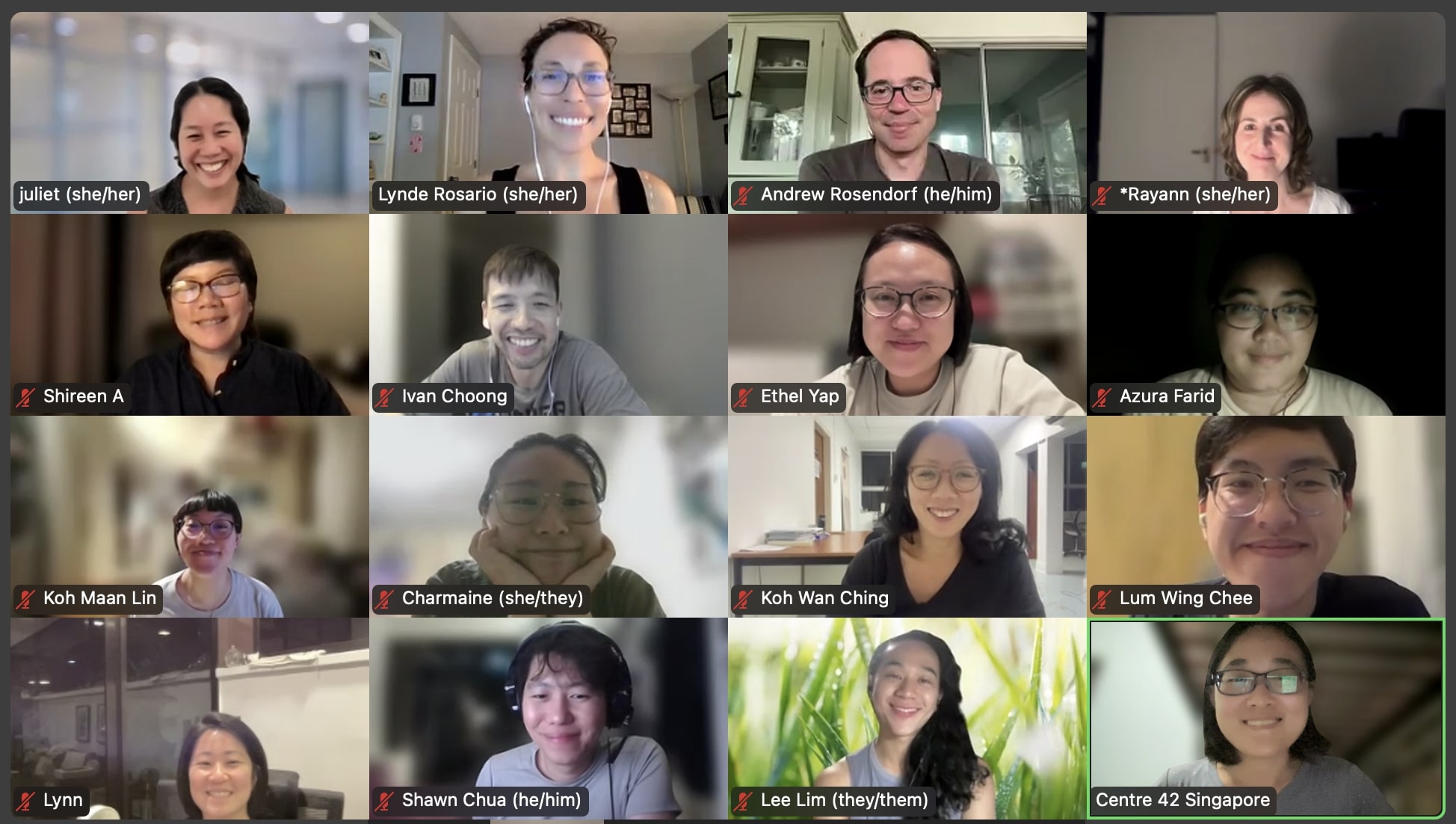 A Zoom session featuring sixteen participants smiling at the camera.