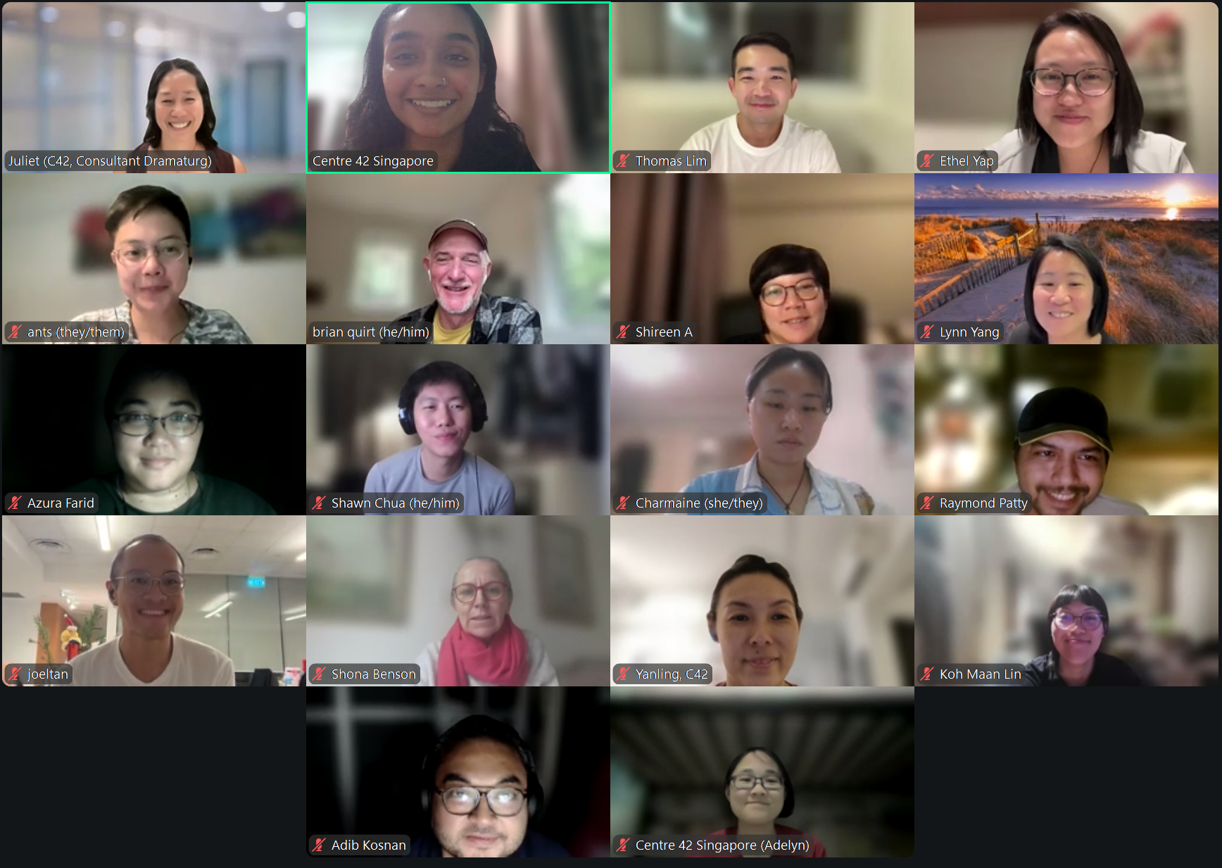 A Zoom session featuring sixteen participants and dramaturg Brian Quirt smiling at the camera.