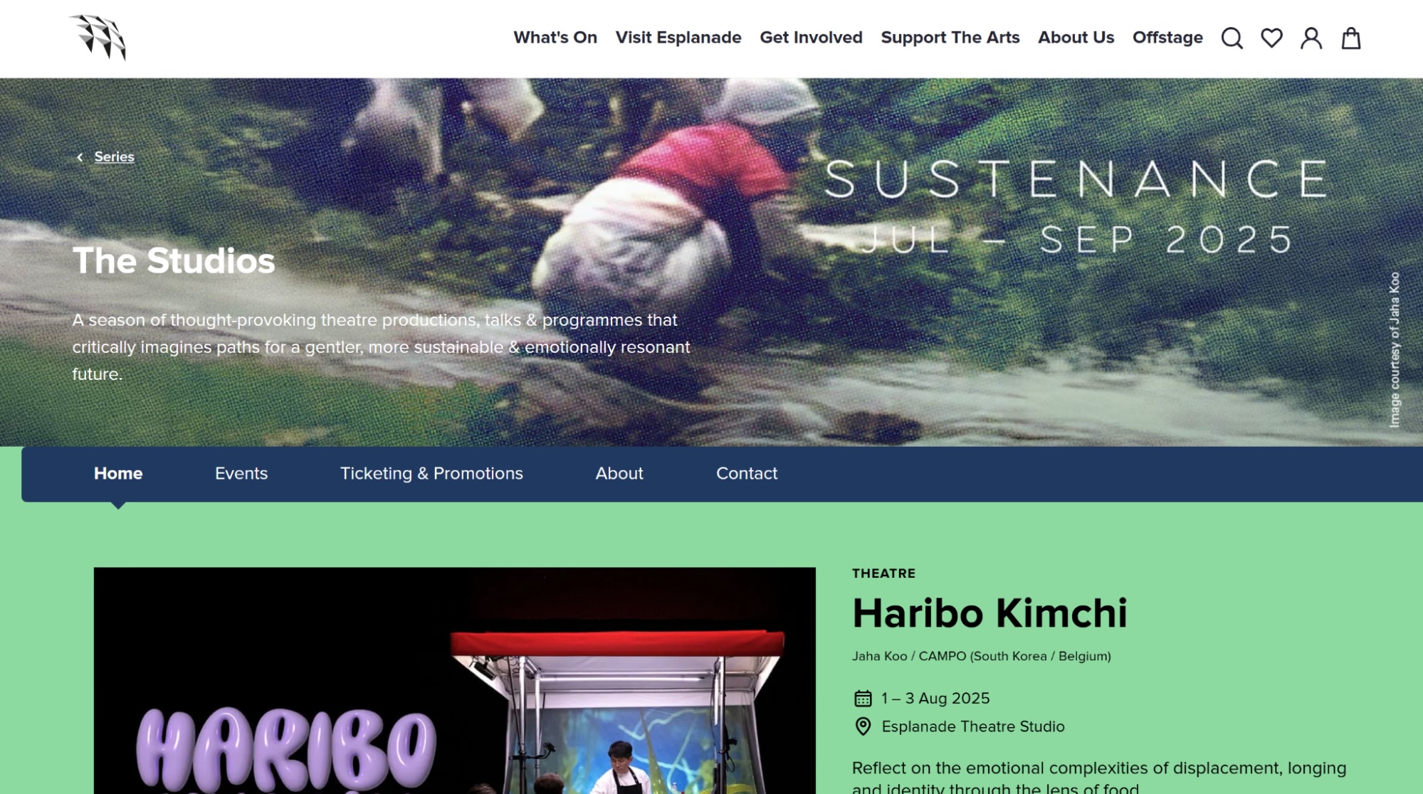 Screenshot of the Esplanade website displaying information about The Studios 2025. Screenshot of the Esplanade website displaying information about The Studios 2025.